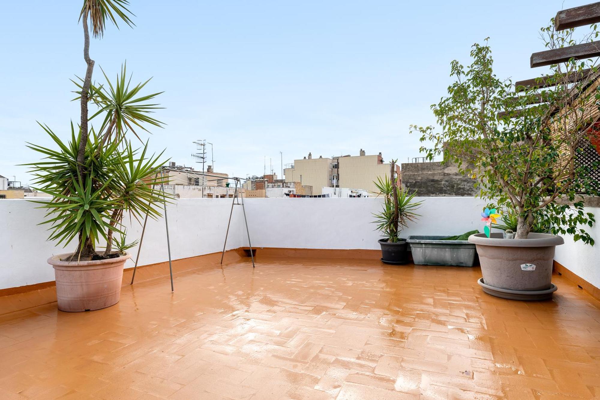 Super Terraza Apartment Amposta Exterior photo
